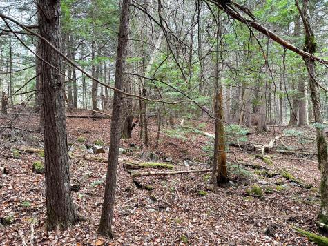Lot 15 Long Lake Road Northfield ME 04654
