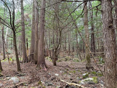 Lot 15 Long Lake Road Northfield ME 04654