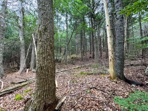 Lot 15 Long Lake Road Northfield ME 04654