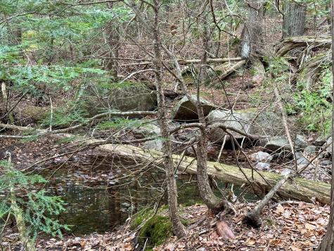 Lot 15 Long Lake Road Northfield ME 04654