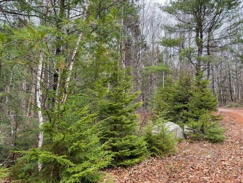 Lot 15 Long Lake Road Northfield ME 04654