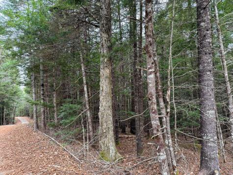 Lot 15 Long Lake Road Northfield ME 04654