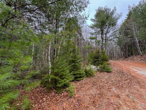 Lot 15 Long Lake Road Northfield ME 04654