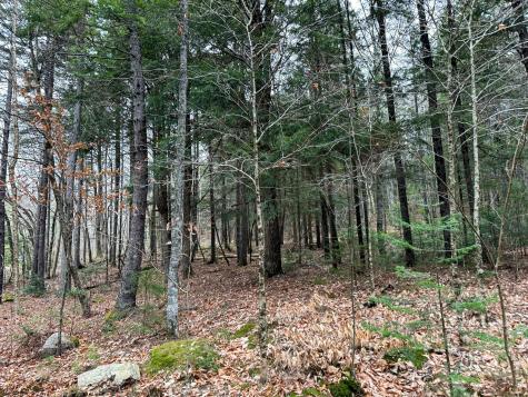 Lot 15 Long Lake Road Northfield ME 04654