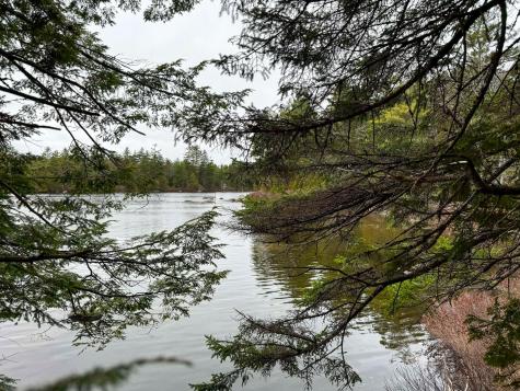 Lot 15 Long Lake Road Northfield ME 04654