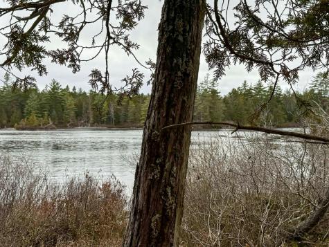 Lot 15 Long Lake Road Northfield ME 04654