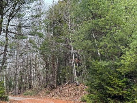 Lot 15 Long Lake Road Northfield ME 04654