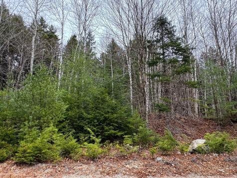 Lot 15 Long Lake Road Northfield ME 04654