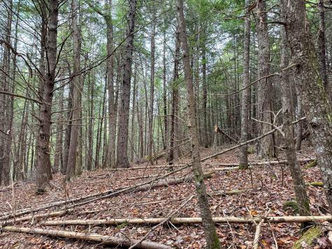 Lot 15 Long Lake Road Northfield ME 04654