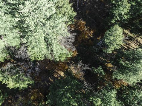 14 Senator Black Road Baldwin ME 04091