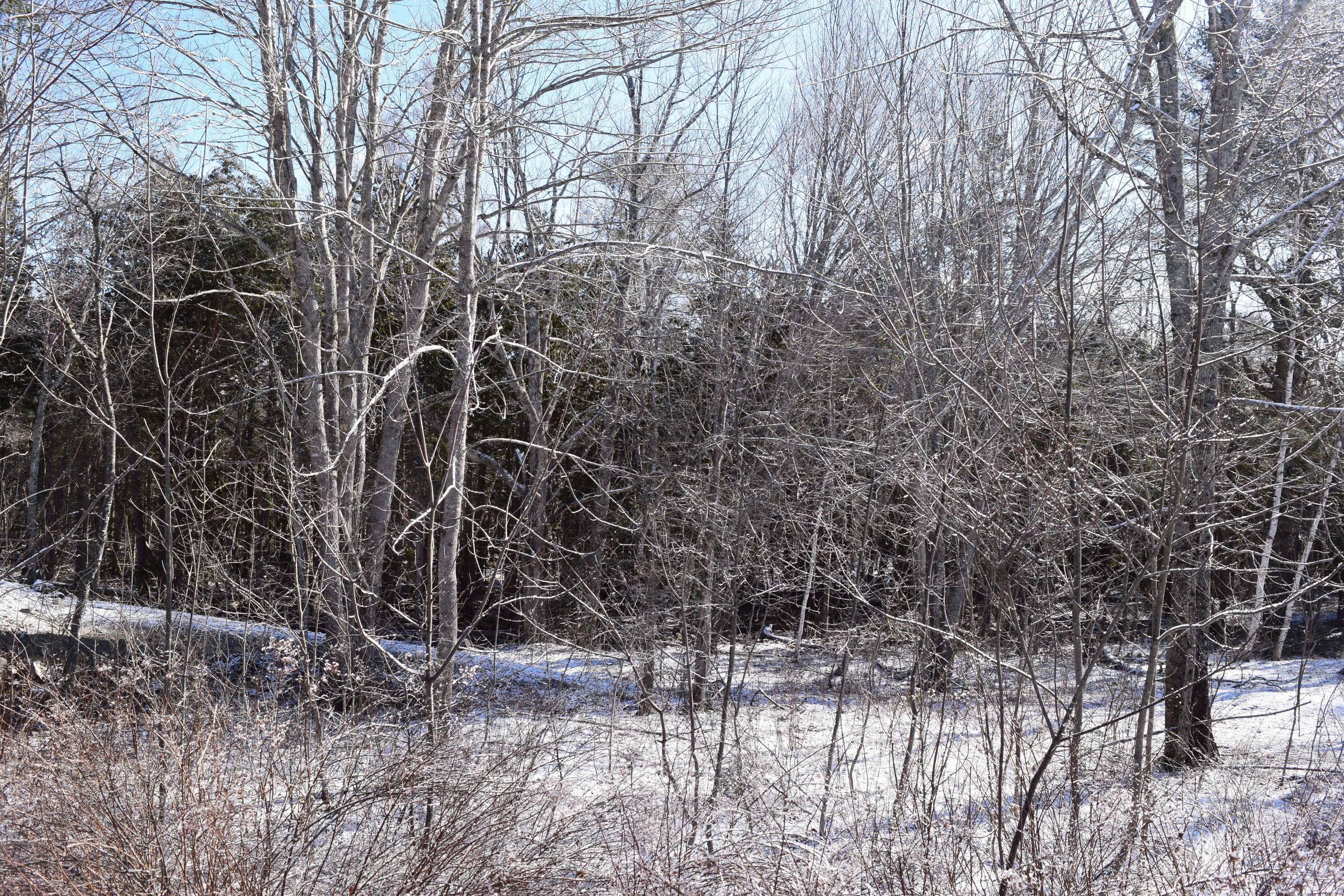 0 Moore Farm Circle East Ellsworth ME 04605