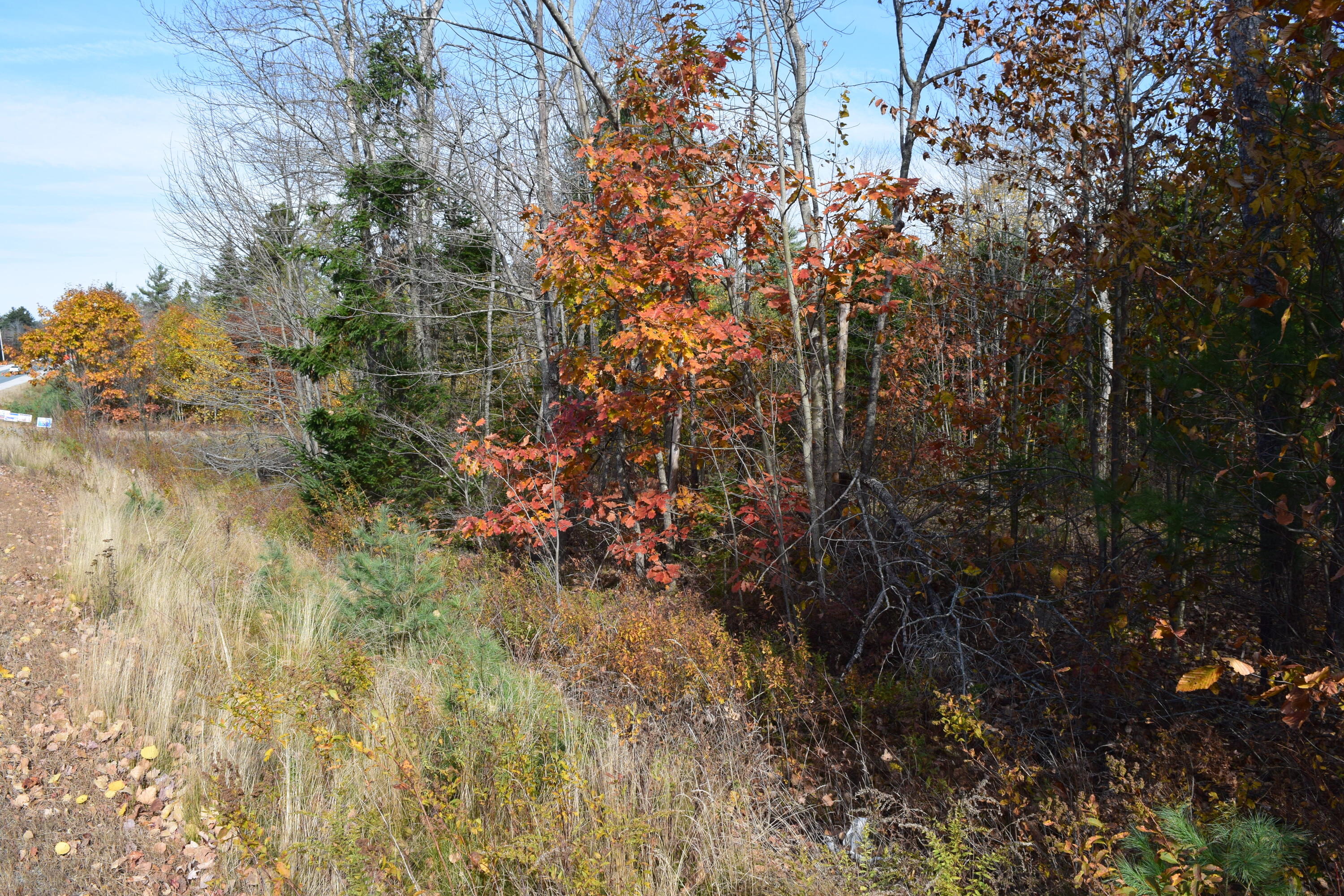 0 Labelle Road Ellsworth ME 04605