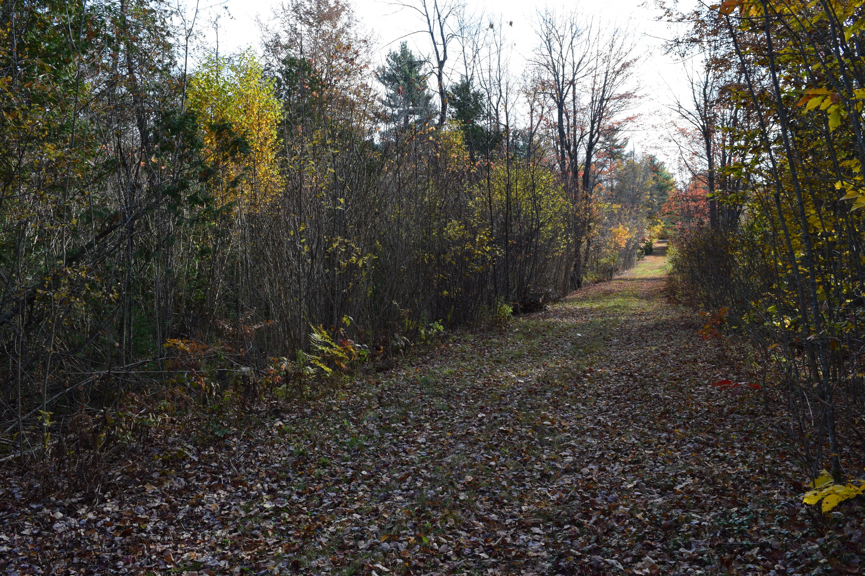 0 Labelle Road Ellsworth ME 04605