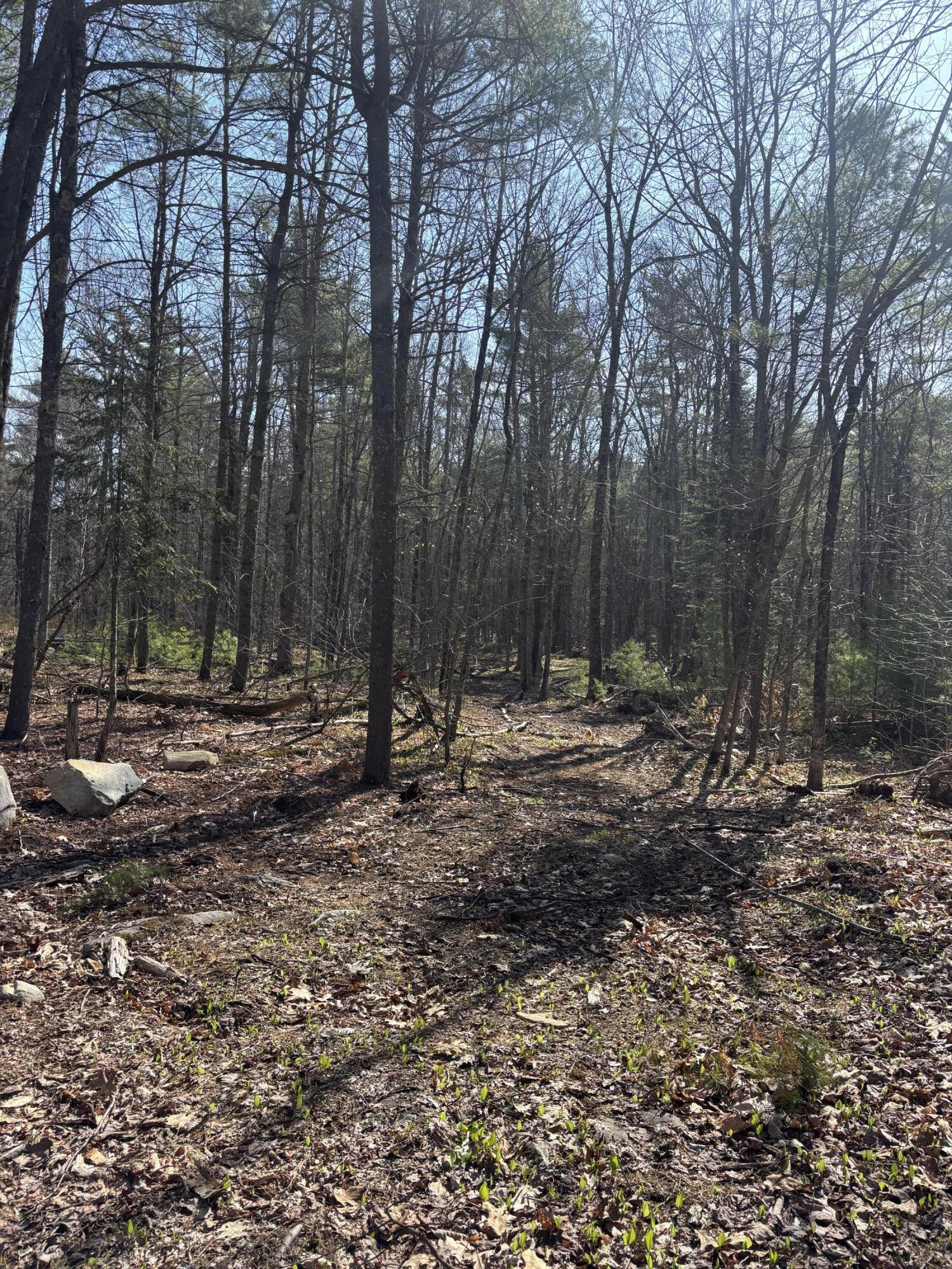 Lot 88 Bolton Hill Road Augusta ME 04330