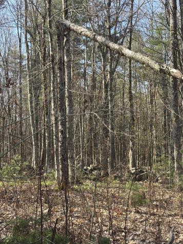 Lot 88 Bolton Hill Road Augusta ME 04330