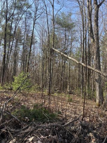 Lot 88 Bolton Hill Road Augusta ME 04330