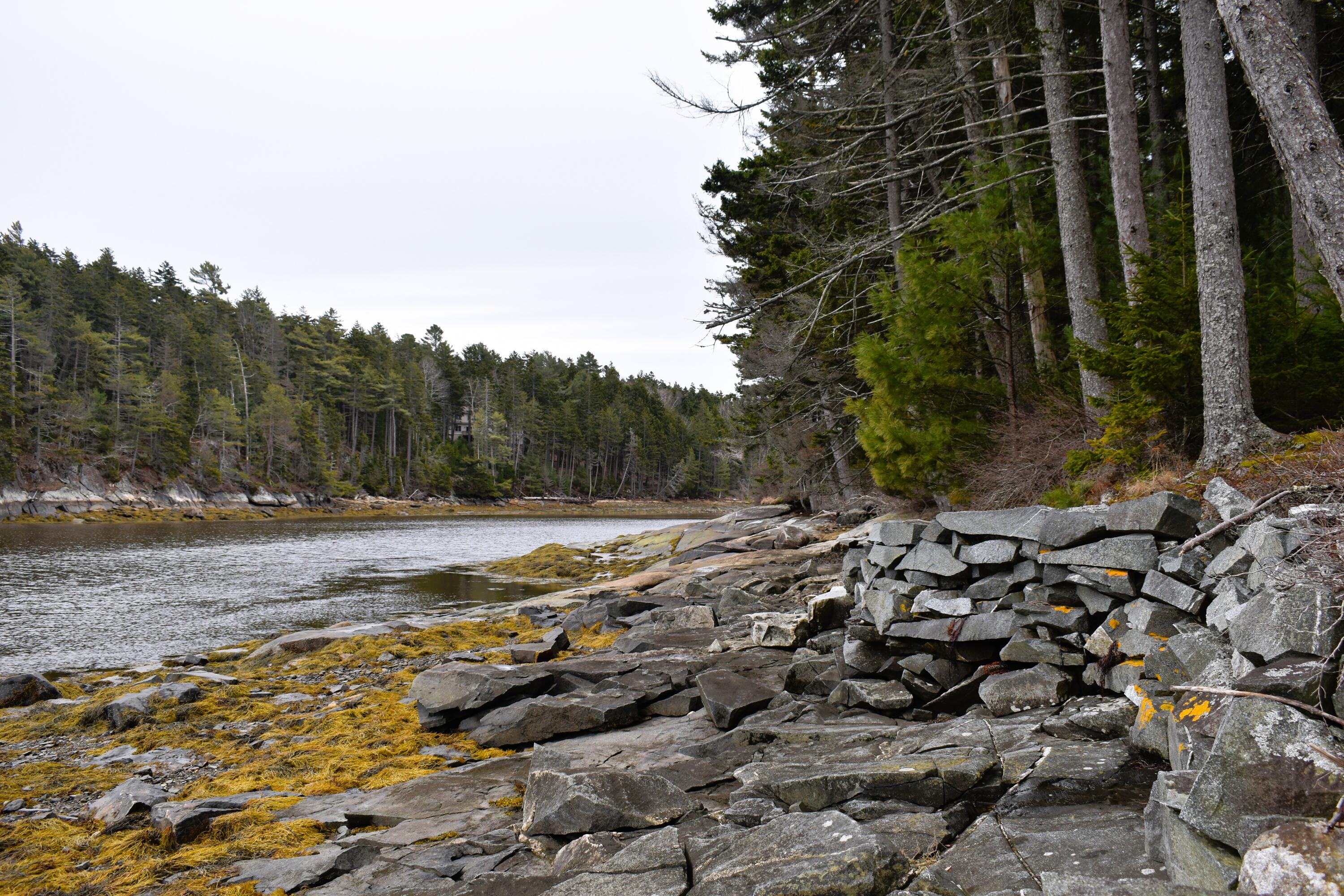 L73M217 S. Kallio Cove Road Saint George ME 04860