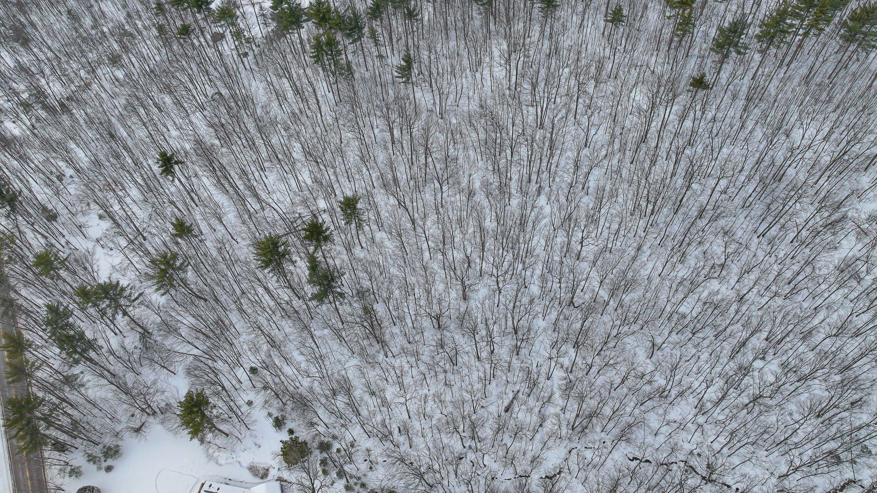 R-12 L-033 Main Street Lovell ME 04051