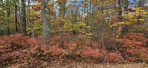 0 Lindsay Lane South Berwick ME 03908