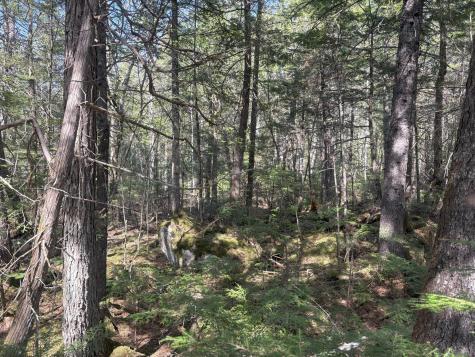 M7 L5 Lombard Road Lakeville ME 04487