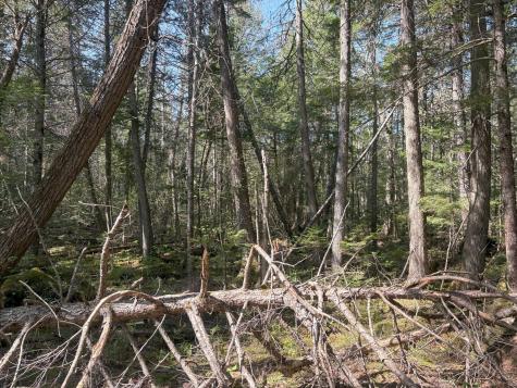 M7 L5 Lombard Road Lakeville ME 04487