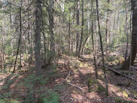 M7 L5 Lombard Road Lakeville ME 04487