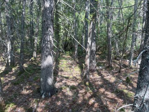 M7 L5 Lombard Road Lakeville ME 04487