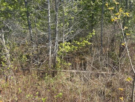 M7 L5 Lombard Road Lakeville ME 04487