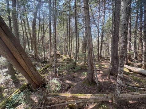 M7 L5 Lombard Road Lakeville ME 04487