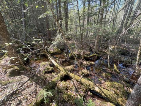 M7 L5 Lombard Road Lakeville ME 04487