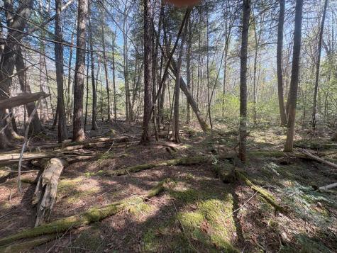 M7 L5 Lombard Road Lakeville ME 04487