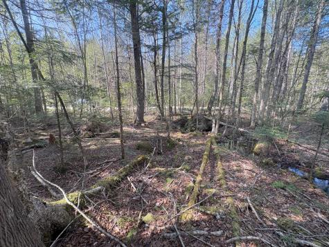 M7 L5 Lombard Road Lakeville ME 04487