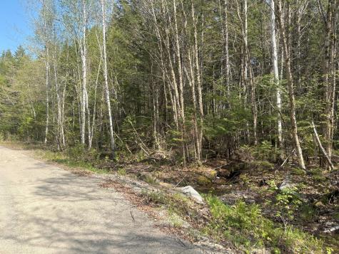 M7 L5 Lombard Road Lakeville ME 04487