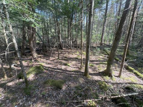 M7 L5 Lombard Road Lakeville ME 04487