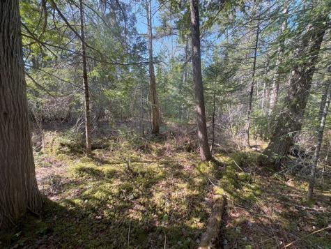 M7 L5 Lombard Road Lakeville ME 04487