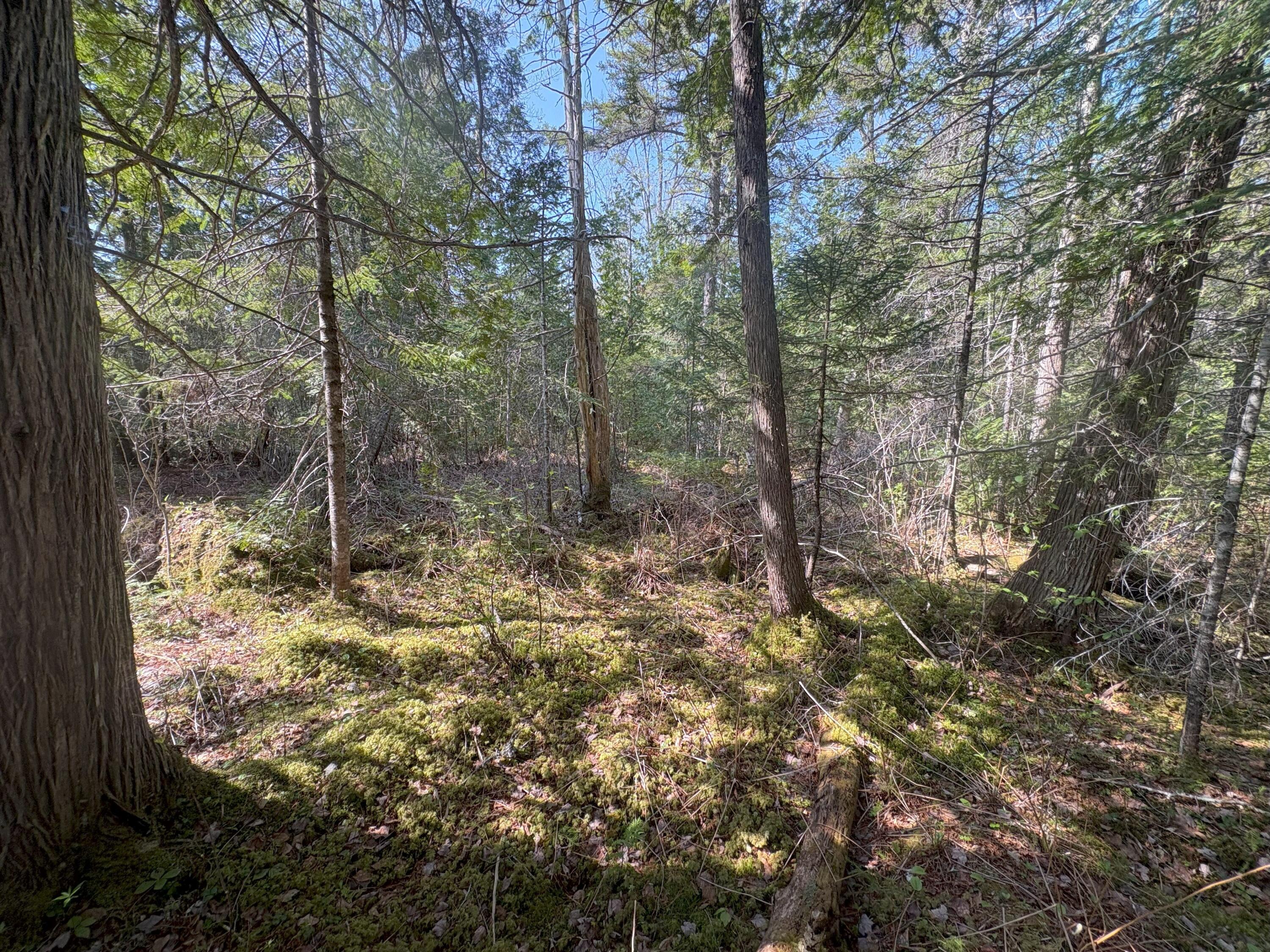 M7 L5 Lombard Road Lakeville ME 04487