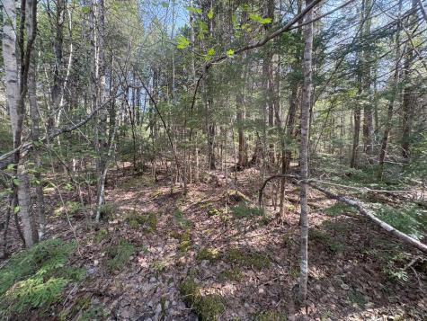 M7 L5 Lombard Road Lakeville ME 04487