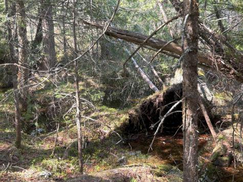 M7 L5 Lombard Road Lakeville ME 04487