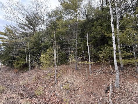 M43 L6 Shady Nook Road Newfield ME 04095