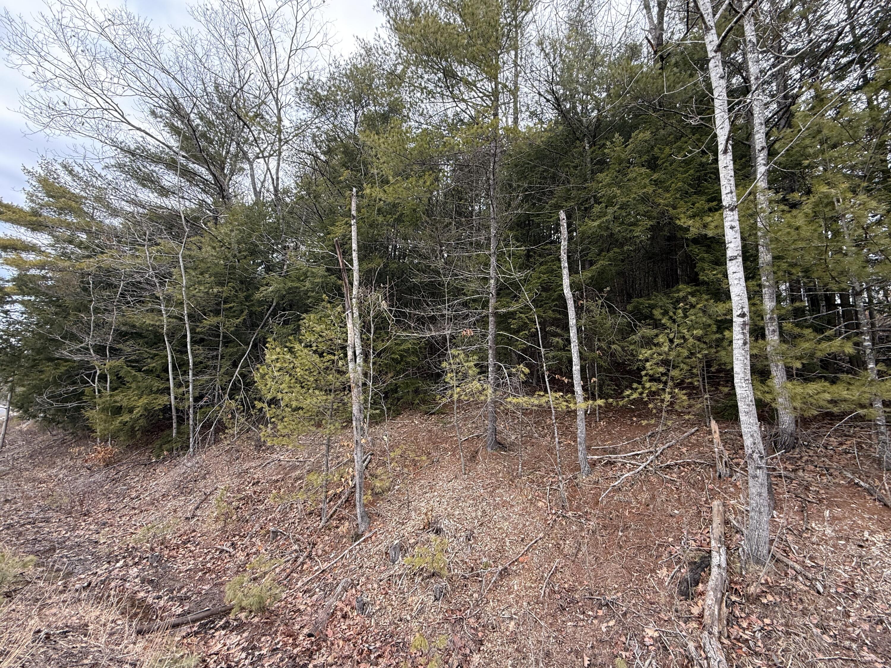 M43 L6 Shady Nook Road Newfield ME 04095