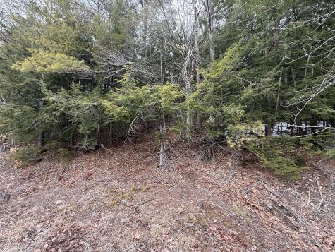 M43 L6 Shady Nook Road Newfield ME 04095