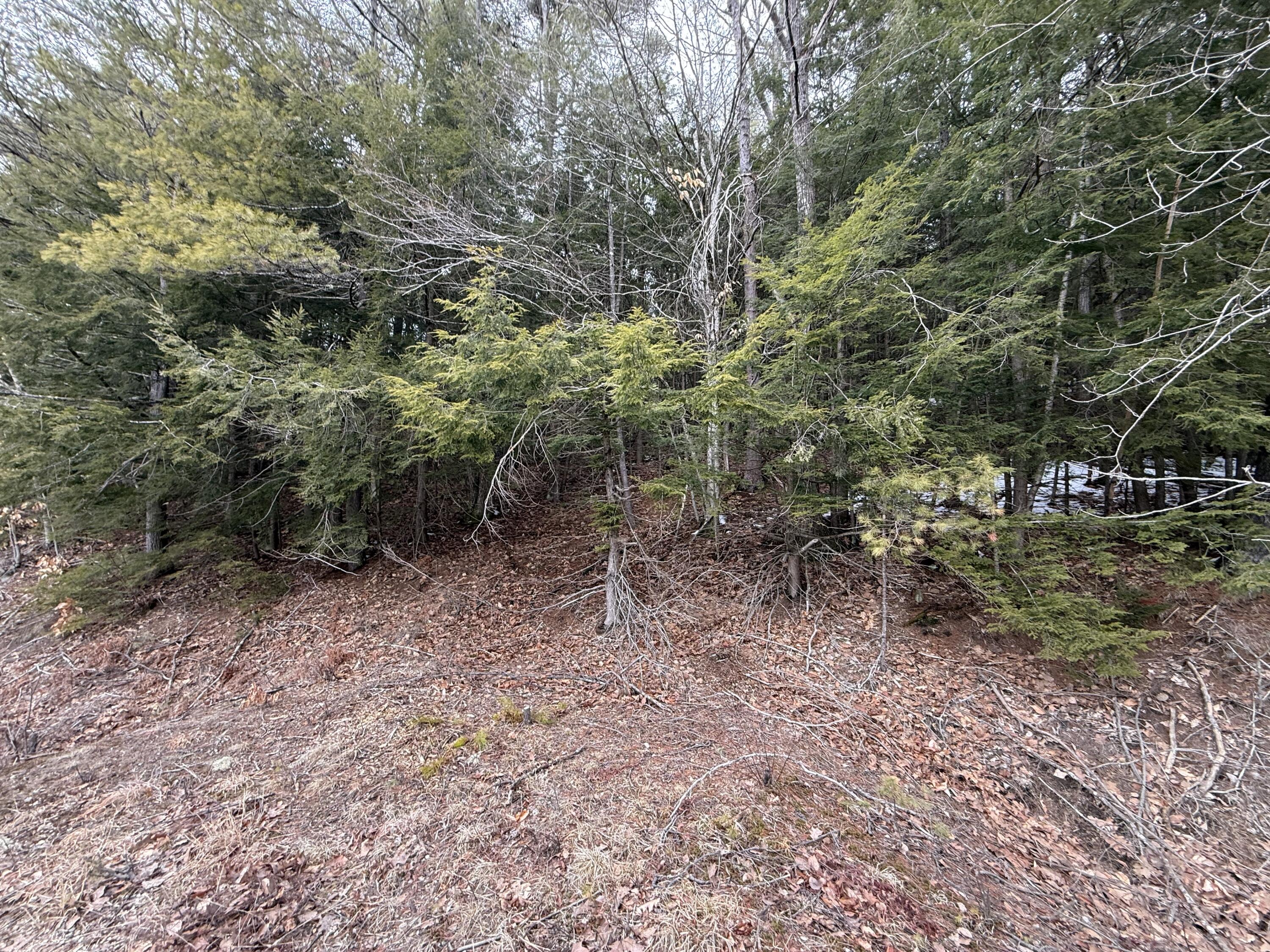 M43 L6 Shady Nook Road Newfield ME 04095