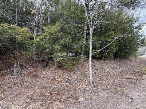 M43 L6 Shady Nook Road Newfield ME 04095
