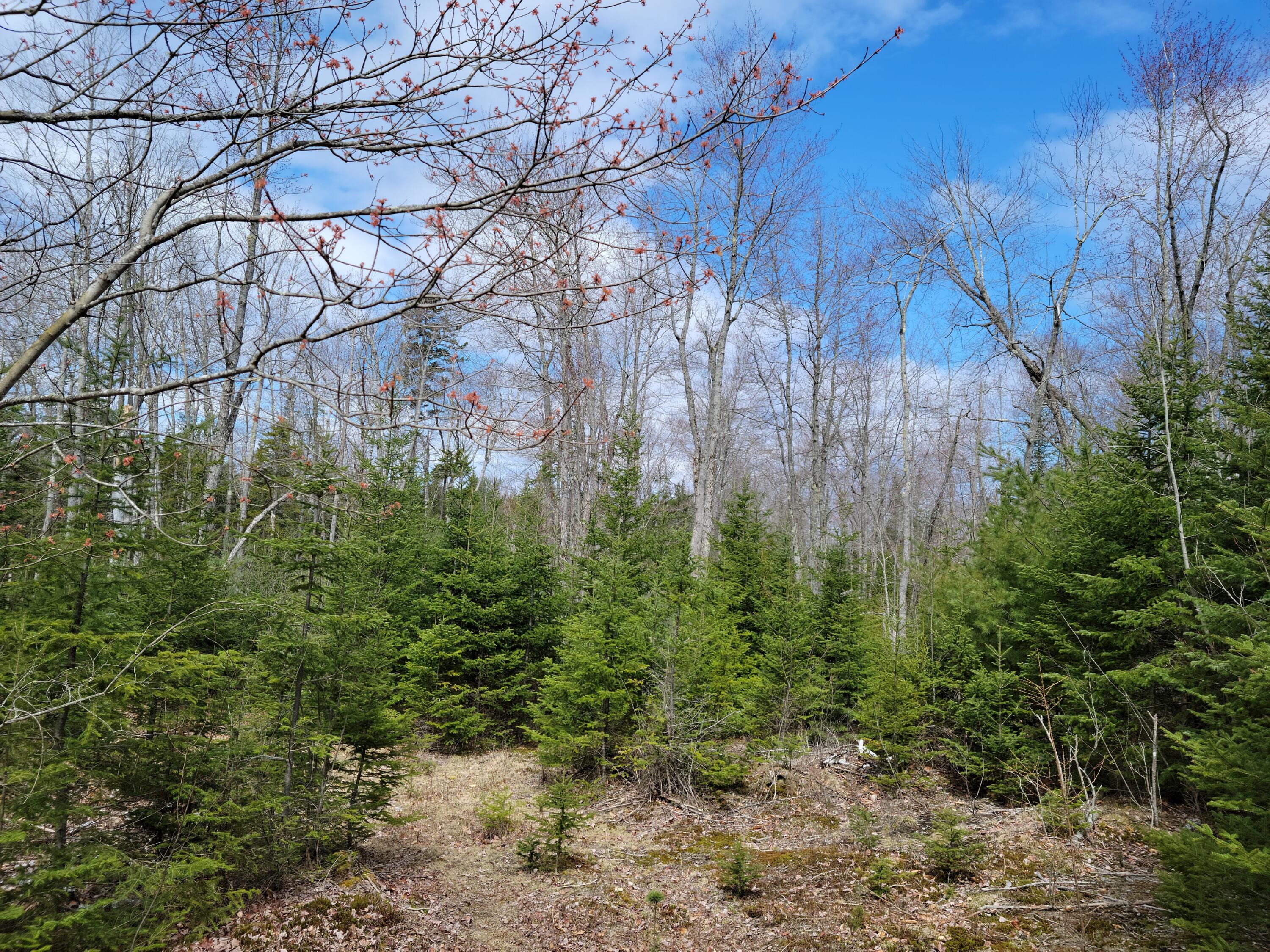 140 Back Searsport Road Belfast ME 04915