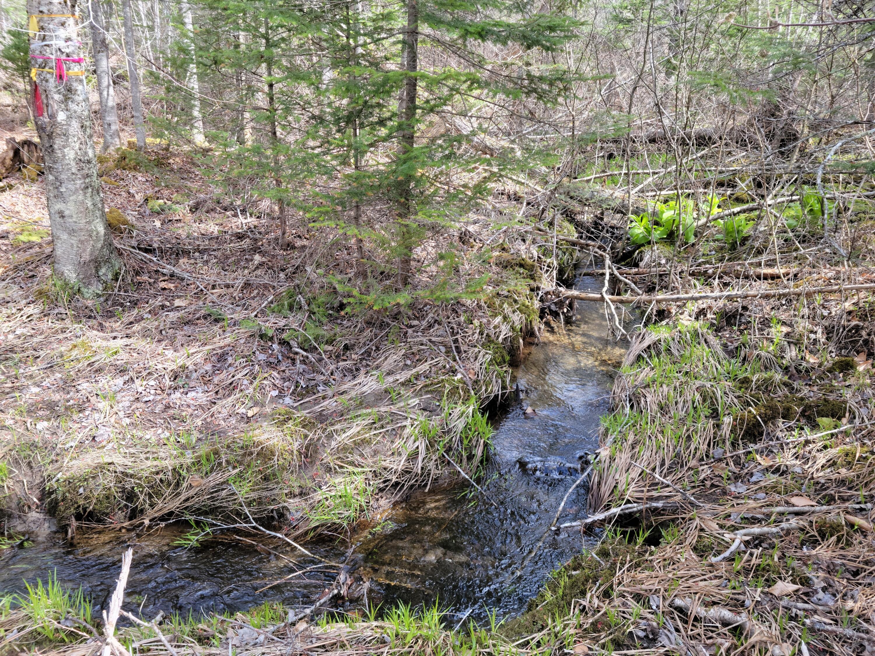 140 Back Searsport Road Belfast ME 04915