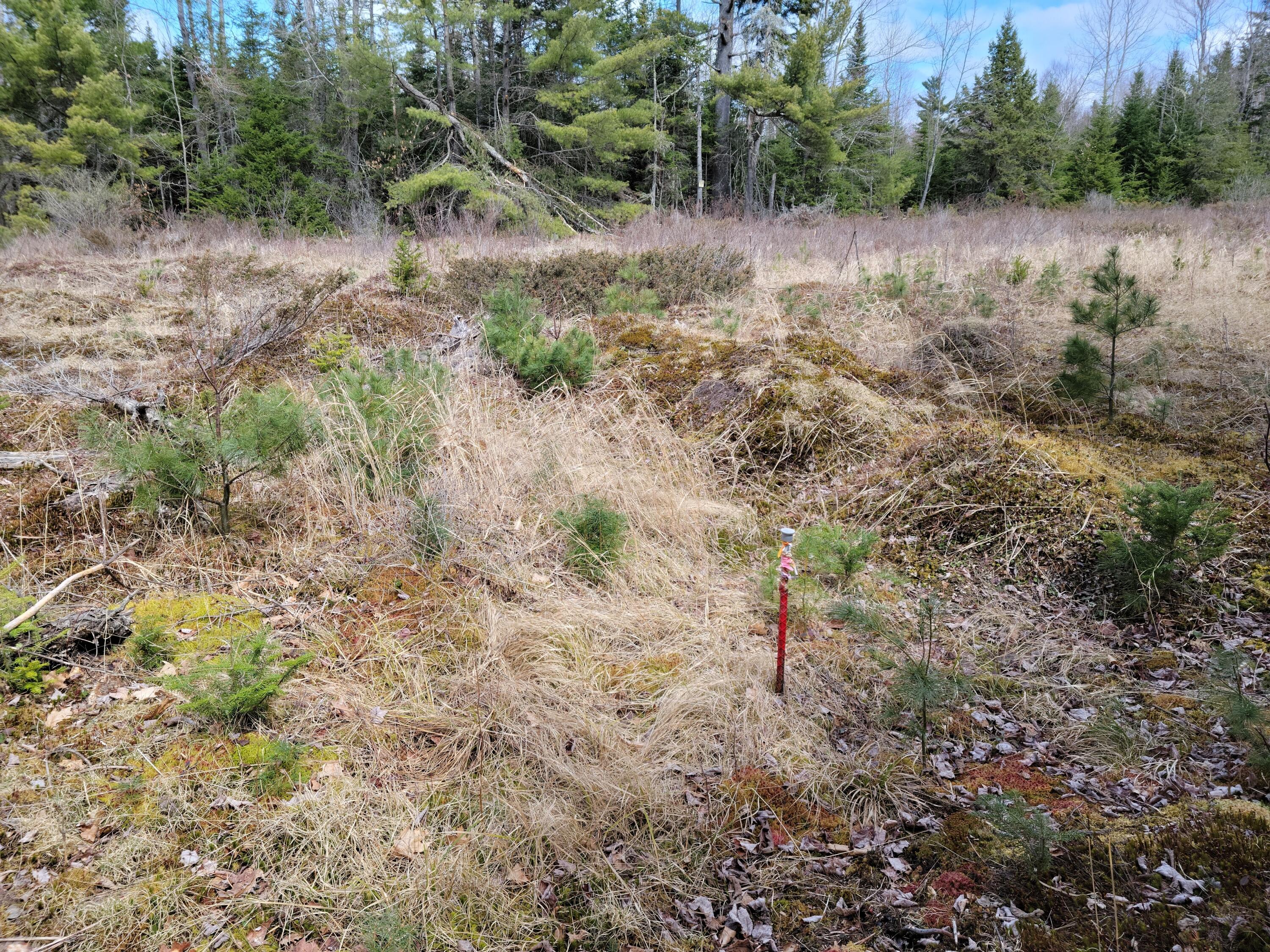 140 Back Searsport Road Belfast ME 04915