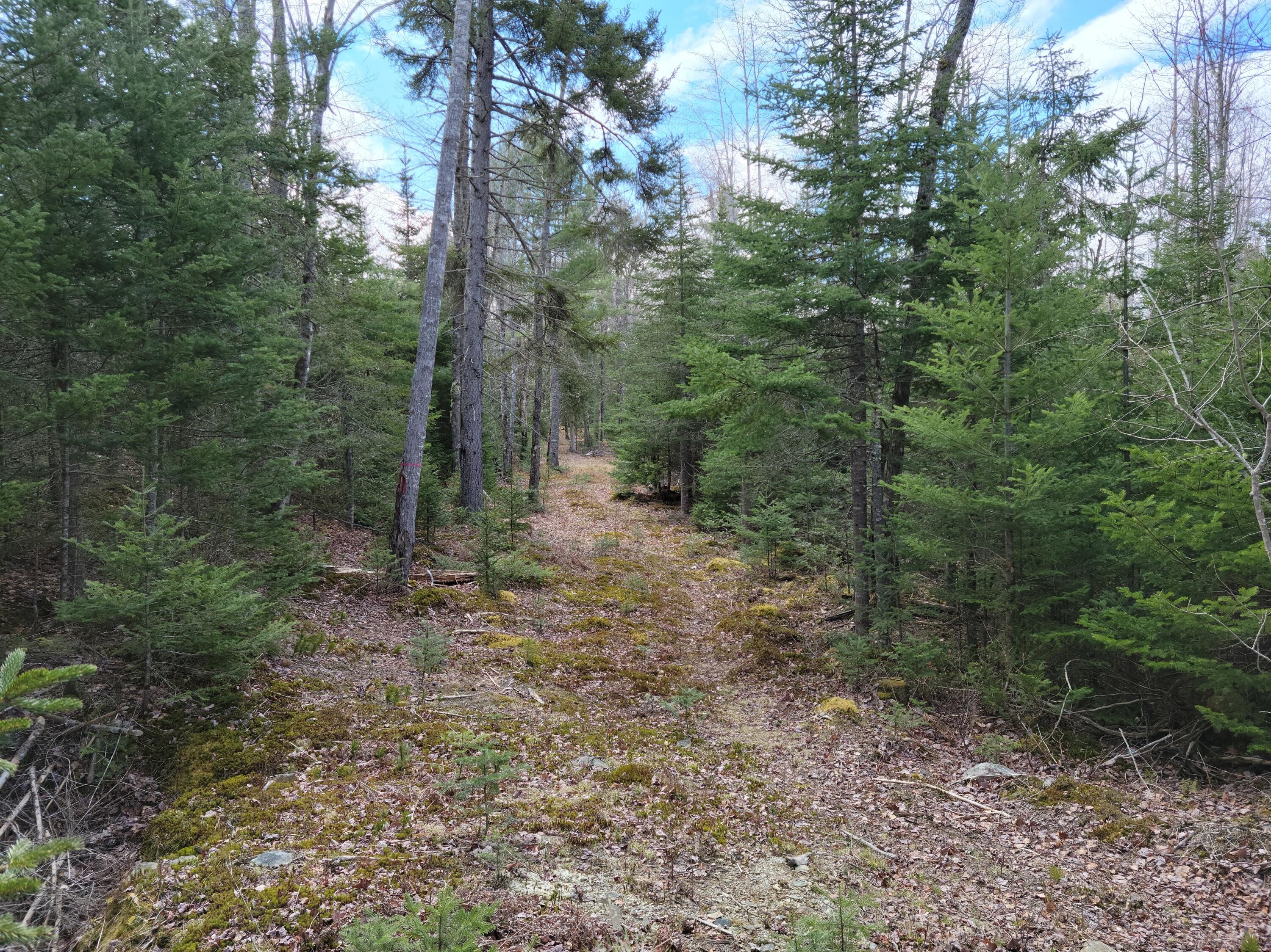 140 Back Searsport Road Belfast ME 04915