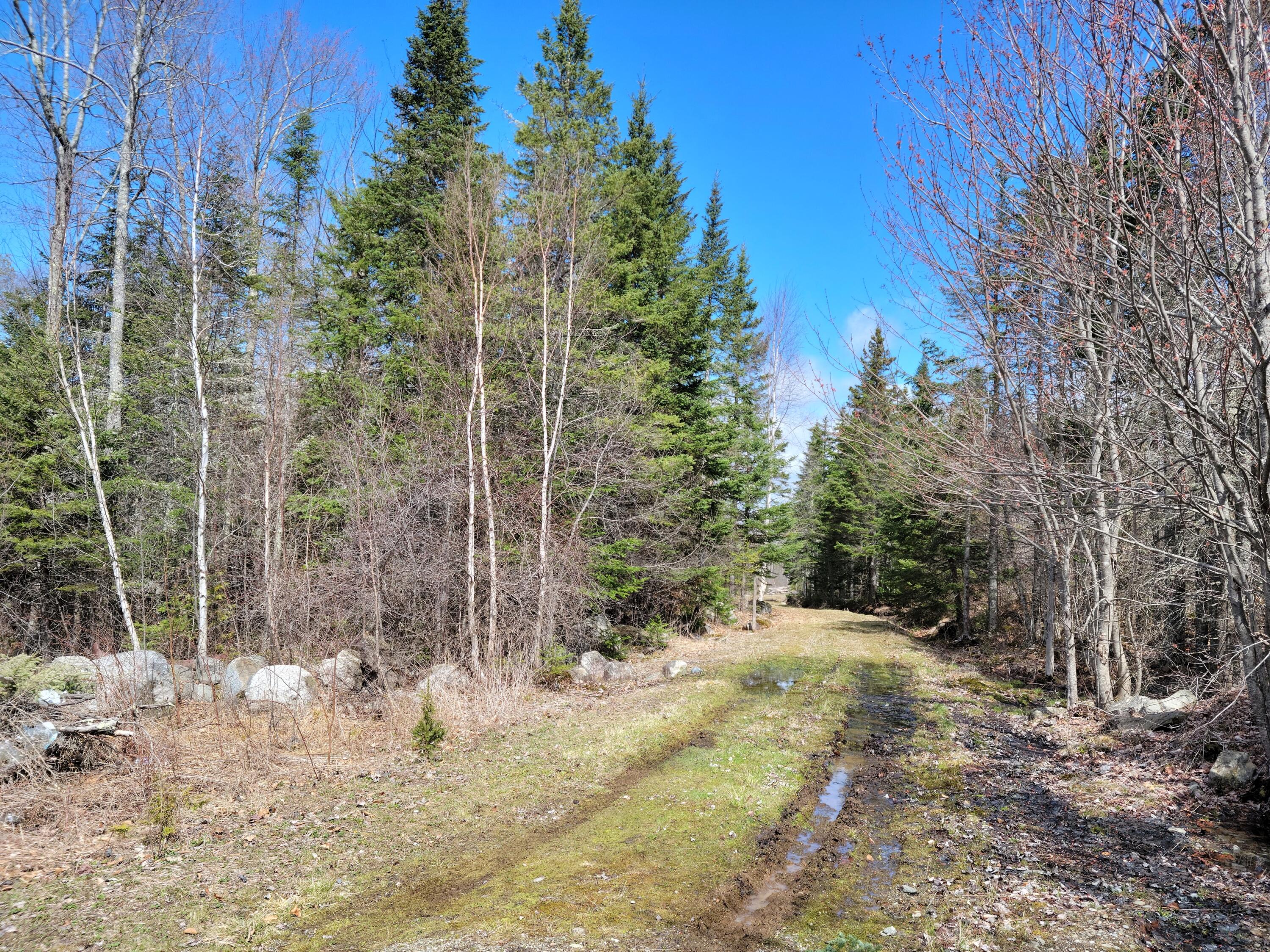 140 Back Searsport Road Belfast ME 04915