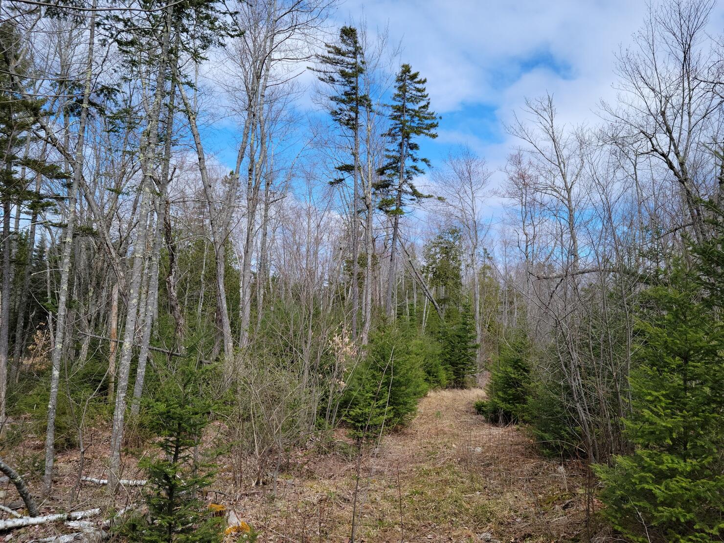 140 Back Searsport Road Belfast ME 04915