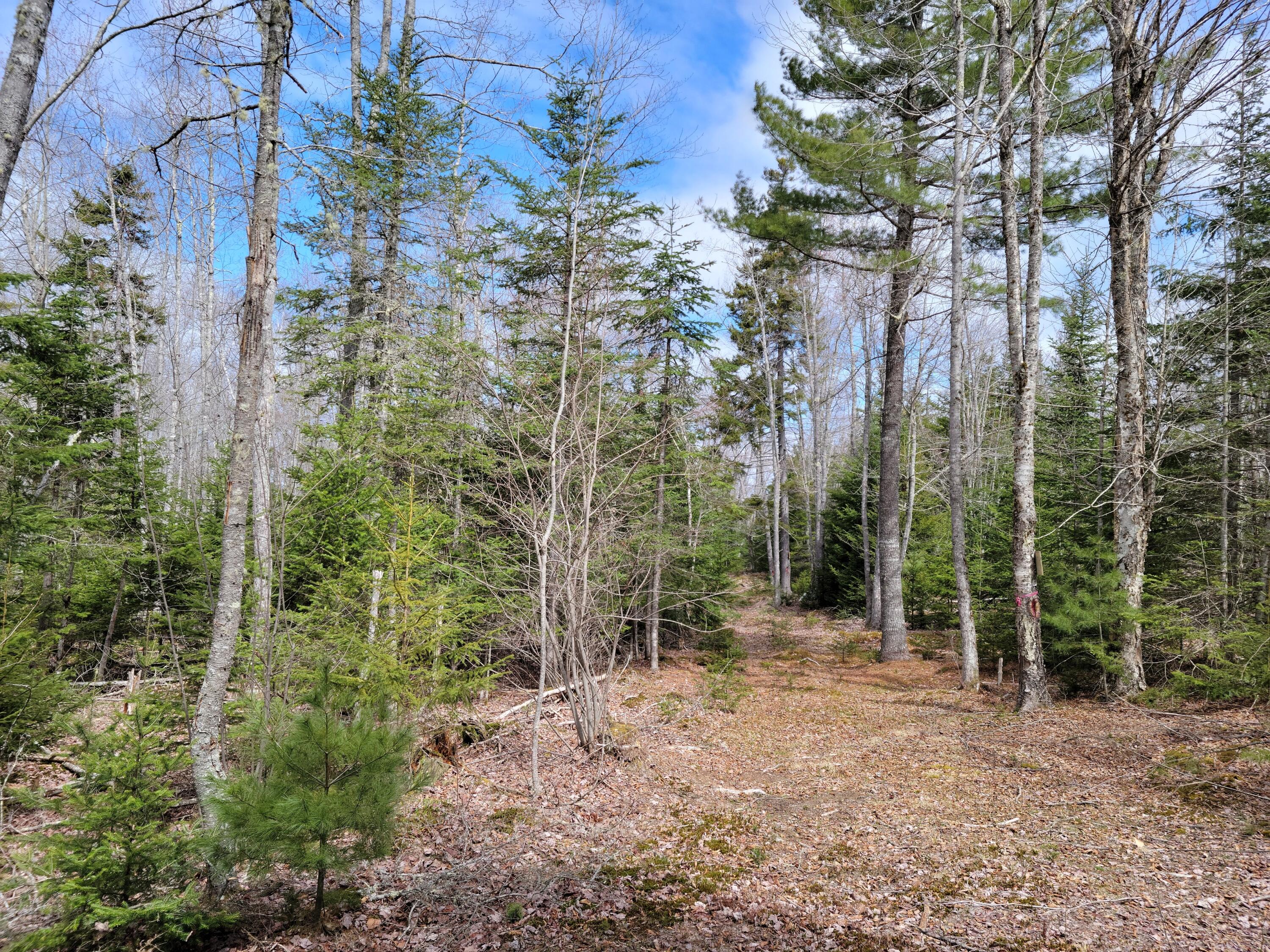 140 Back Searsport Road Belfast ME 04915